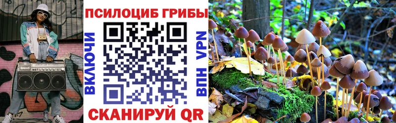 купить  сайты  Шебекино  Галлюциногенные грибы Psilocybine cubensis 