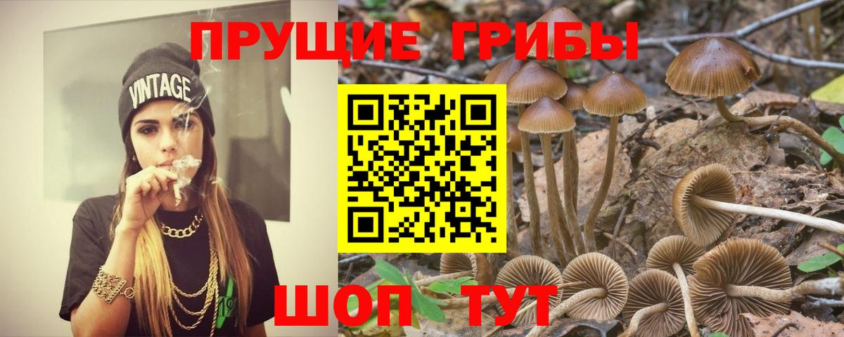 Галлюциногенные грибы ЛСД Шебекино
