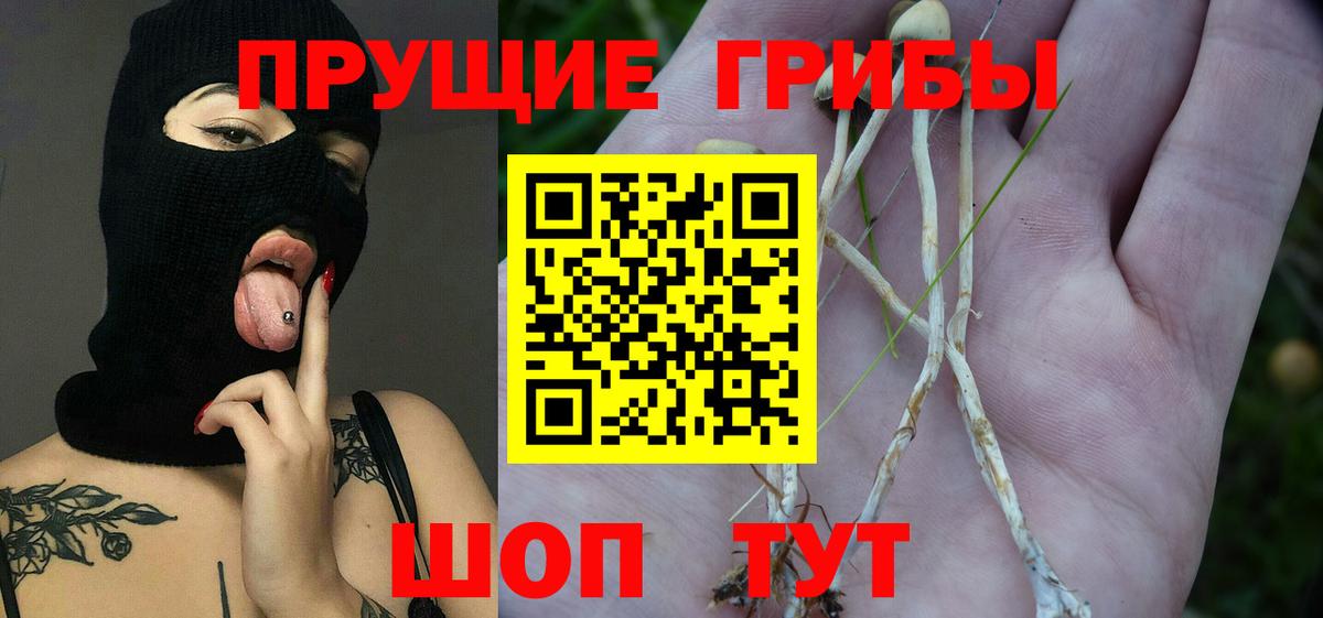 Псилоцибиновые грибы мухоморы  Вход с VPN  Шебекино 